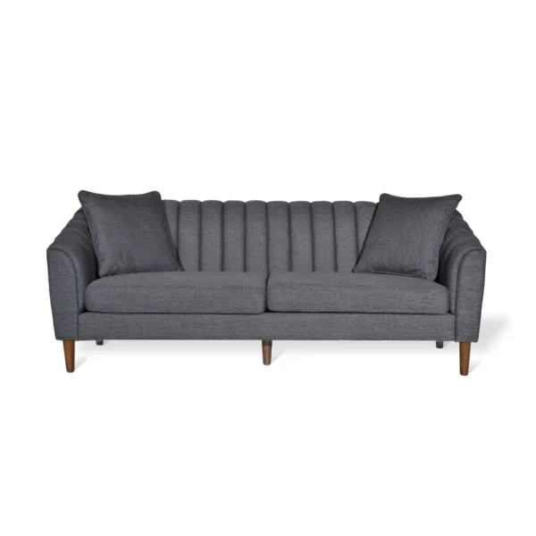 Ansonia Channel-tufted Sofa - Image 2
